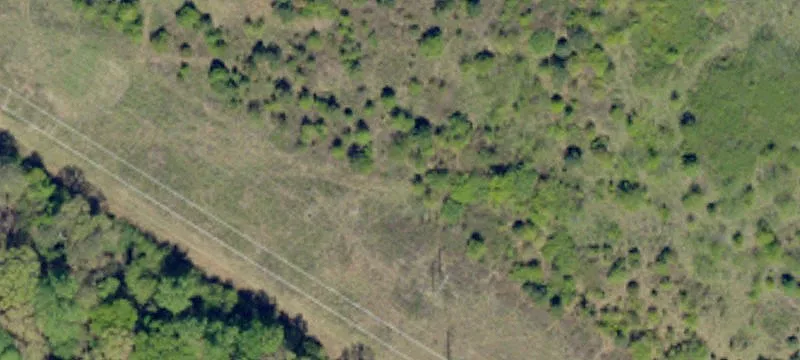 Williamston, SC 29697