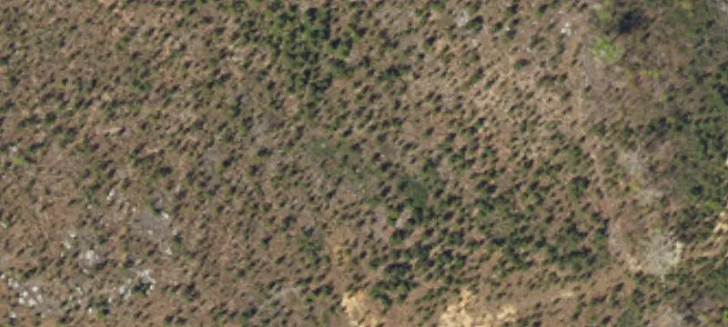 Barrett Rd