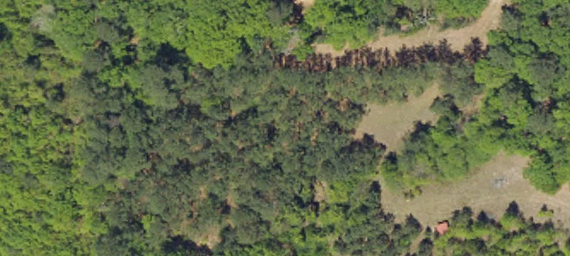 Barnwell, SC 29812