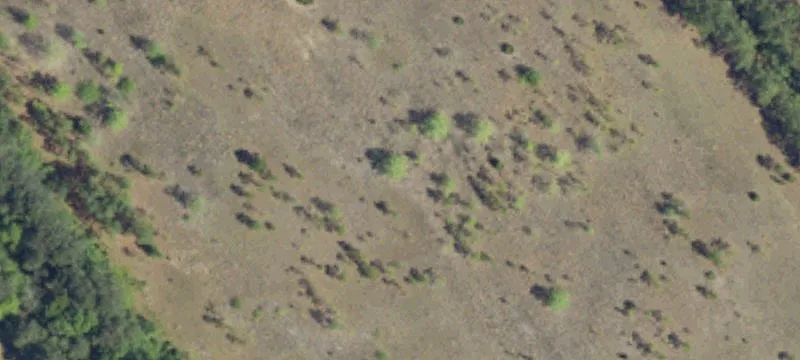 Loris, SC 29569