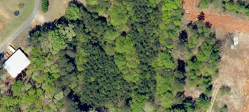 Zimmerman Rd