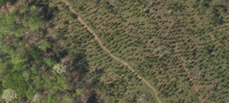 O Hwy 521