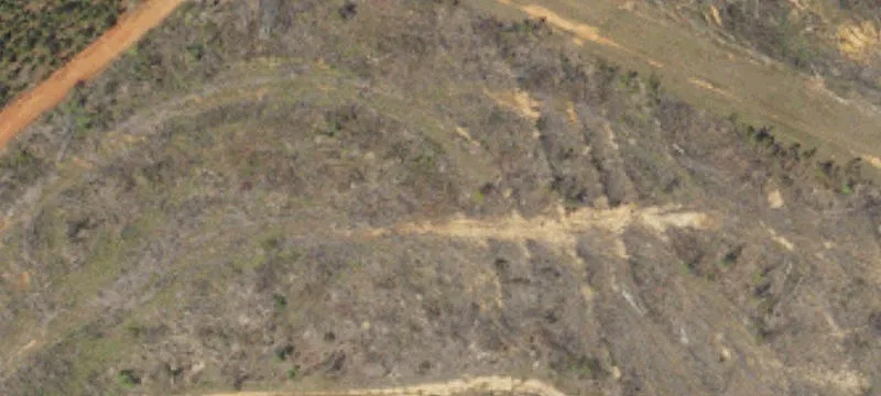 Turnipseed Rd