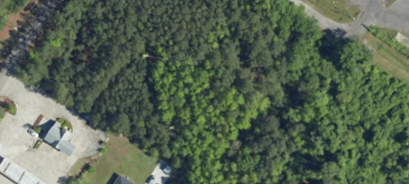 Conway, SC 29526