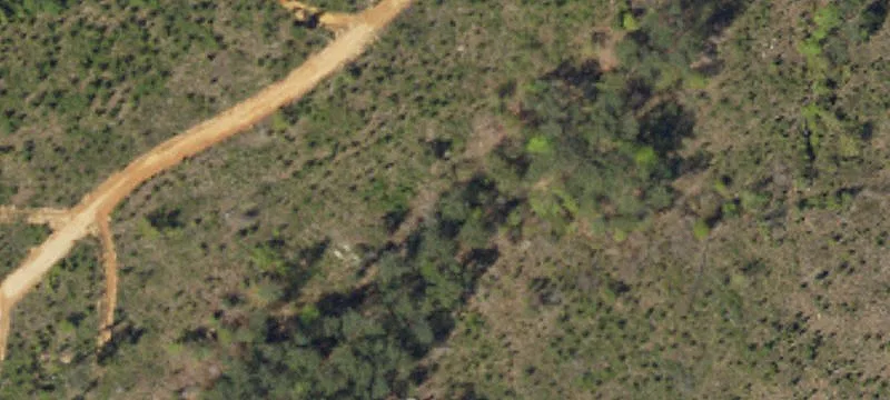 Beecher Horton Rd