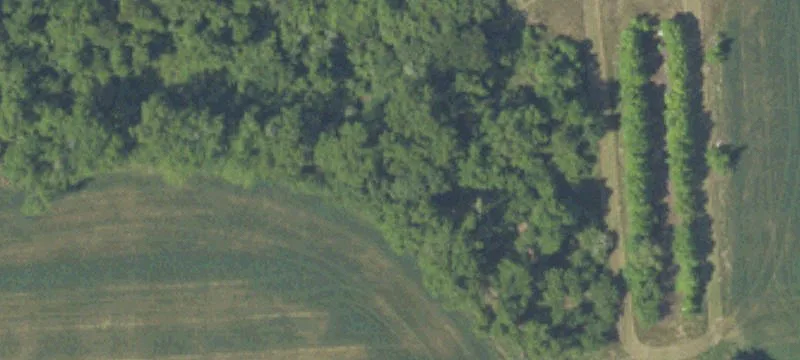Alcolu, SC 29001