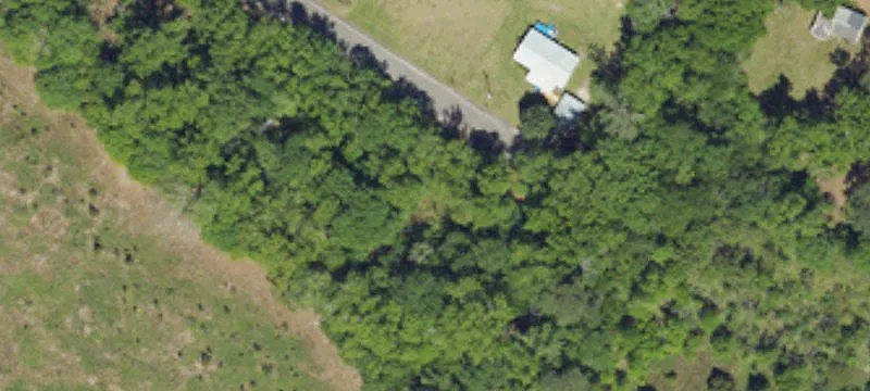 Blackville, SC 29817