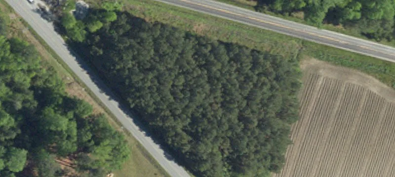 Loris, SC 29569