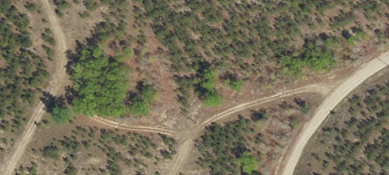 Marion, SC 29571