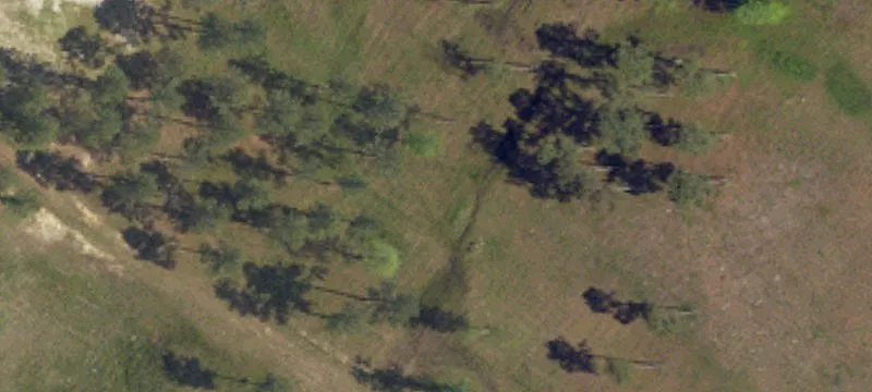 Aynor, SC 29511