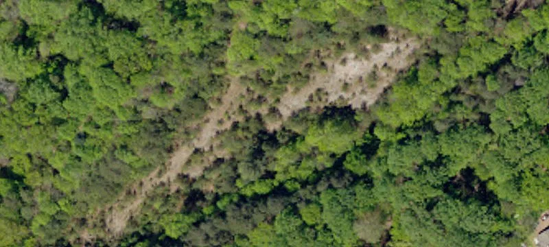 Lookout Tower Rd