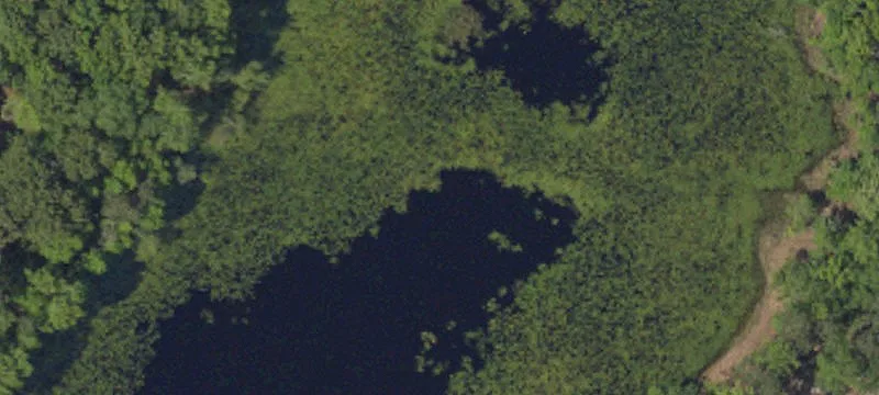 Eutawville, SC 29048