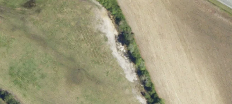 Loris, SC 29569