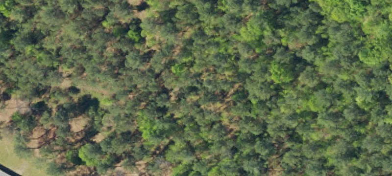 31 Quail Run
