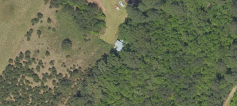 Lane, SC 29564