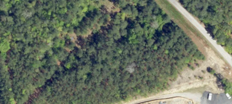 Longs, SC 29568