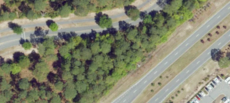 Myrtle Beach, SC 29572