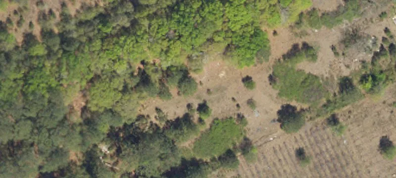 Lamar, SC 29069