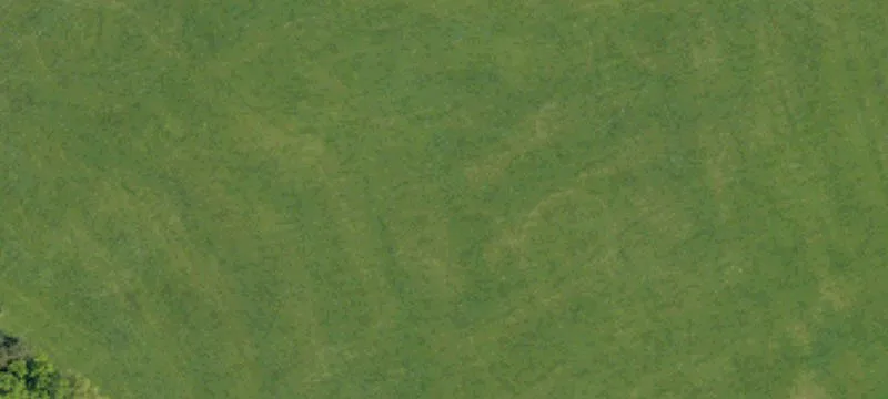 York, SC 29745
