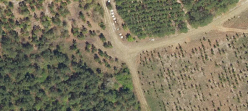Lamar, SC 29069
