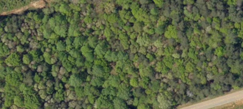 Pendleton, SC 29670