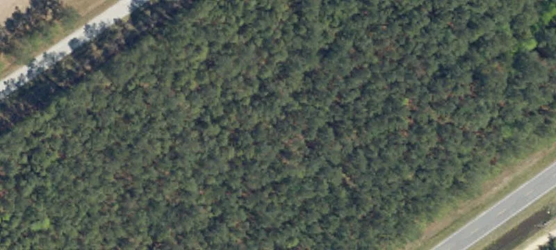 Loris, SC 29569