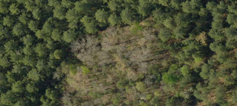 Salem, SC 29676