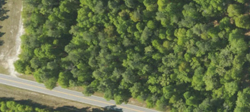 Barnwell, SC 29812