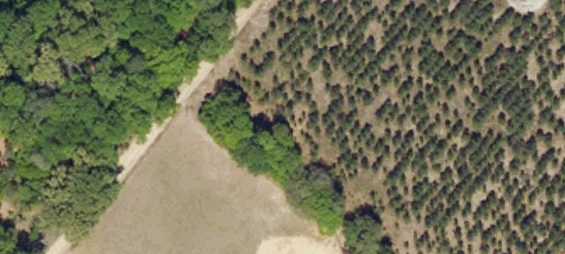 Barnwell, SC 29812