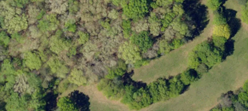 Pendleton, SC 29670