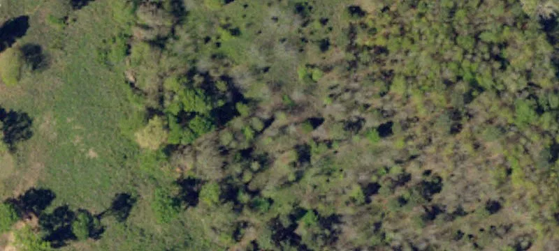 Pendleton, SC 29670