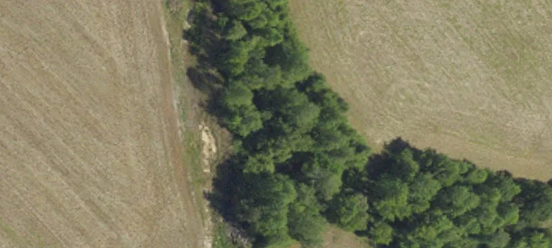 1120 Delta Ml Rd