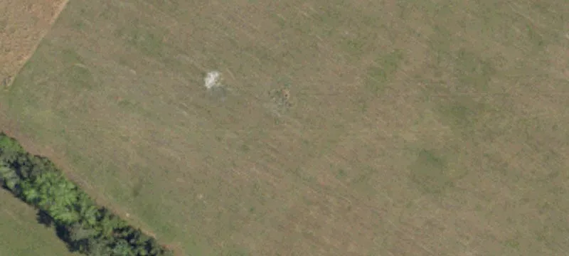 4960 Hwy 501