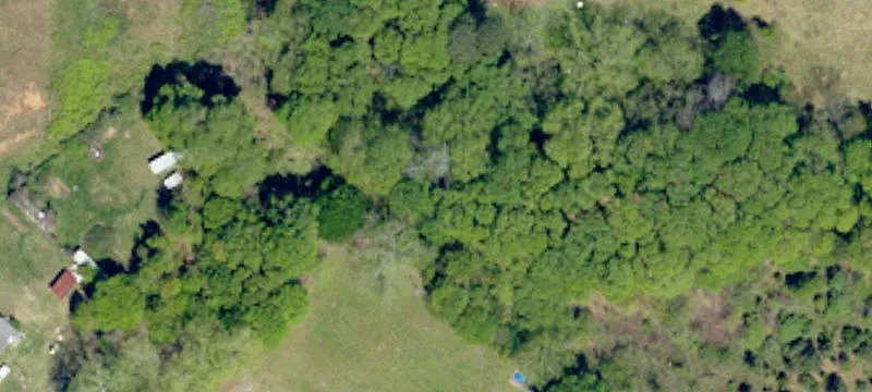 1 Greenville Dr