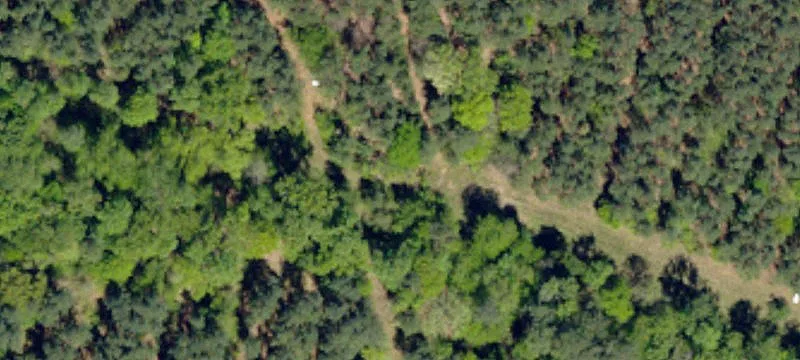 13717 State Hwy 213