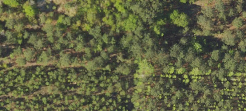 Barnwell, SC 29812