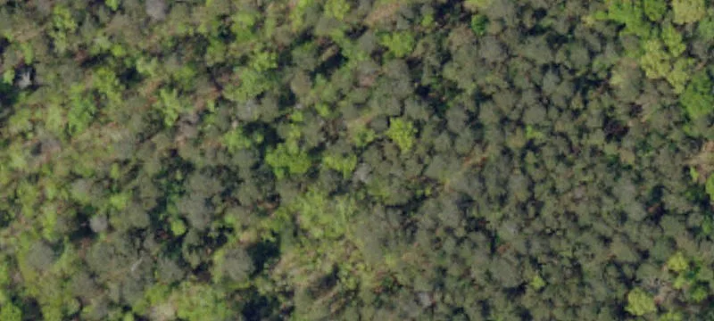 Pendleton, SC 29670