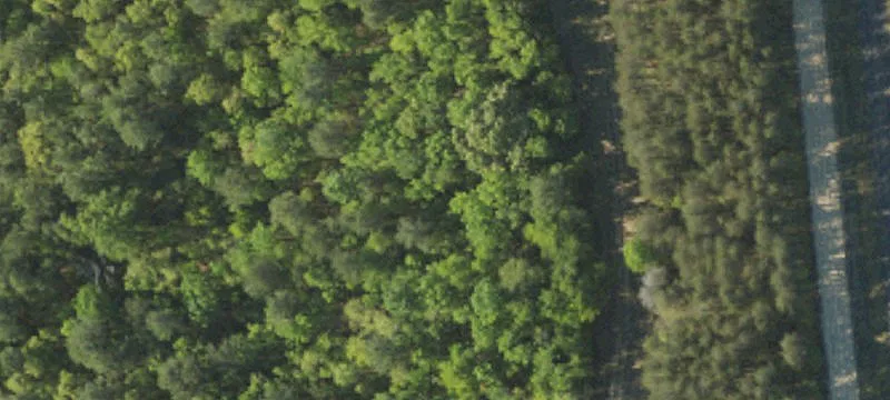Barnwell, SC 29812