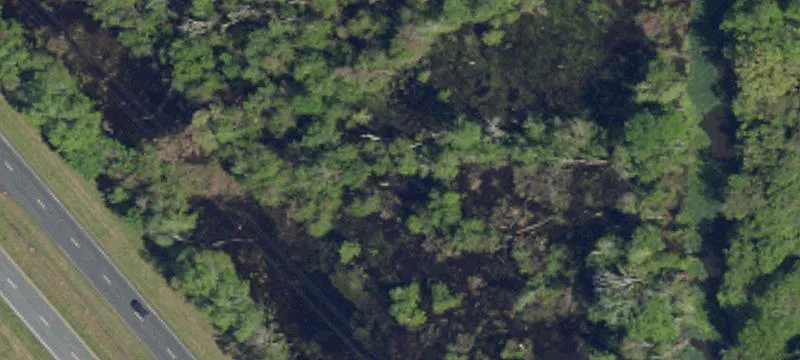 Marion, SC 29571