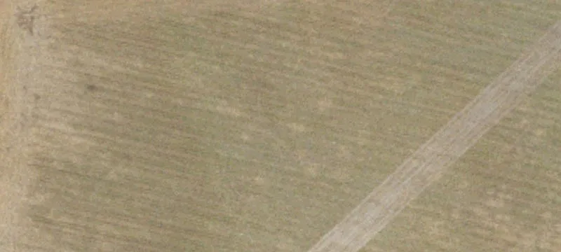 Hartsville, SC 29550