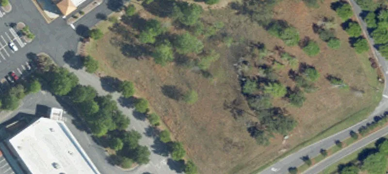 341 Craven Swamp Dr