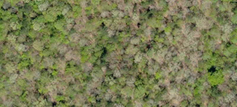 Horseshoe Fls Rd