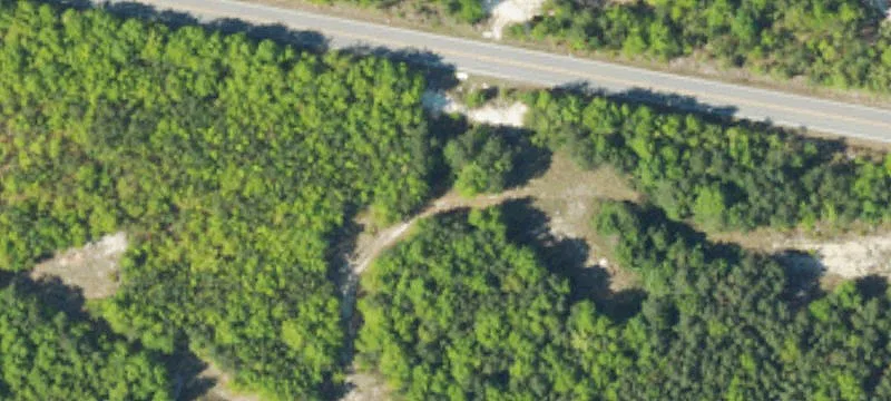 Pne Log Rd