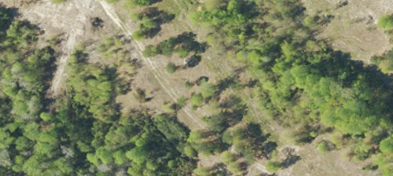 710 Boatright Hl Rd