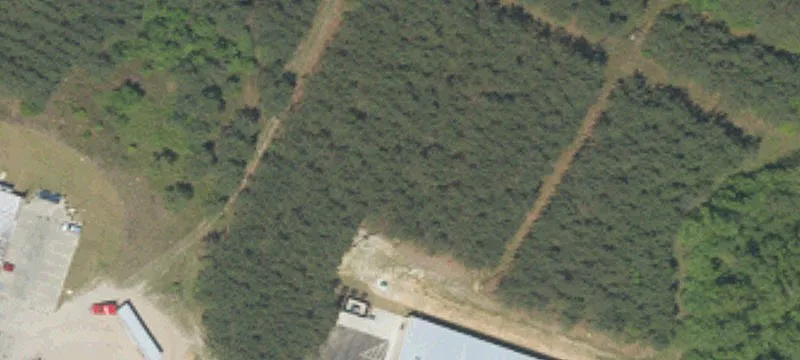 3813 Greeleyville Hwy