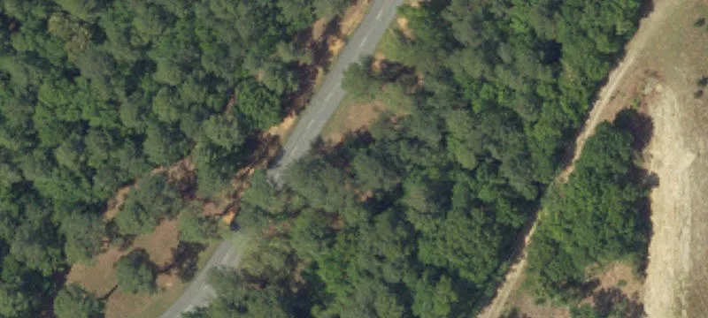 Santee Dr