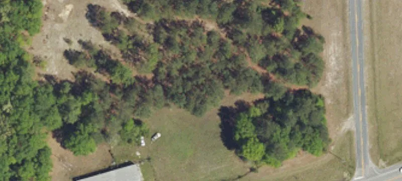 Orangeburg, SC 29115
