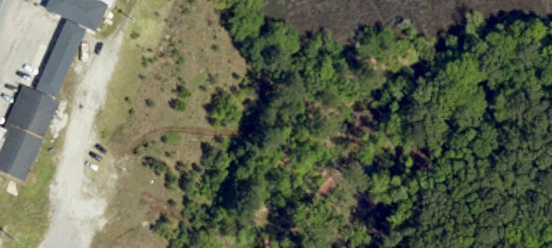 Savannah Hwy