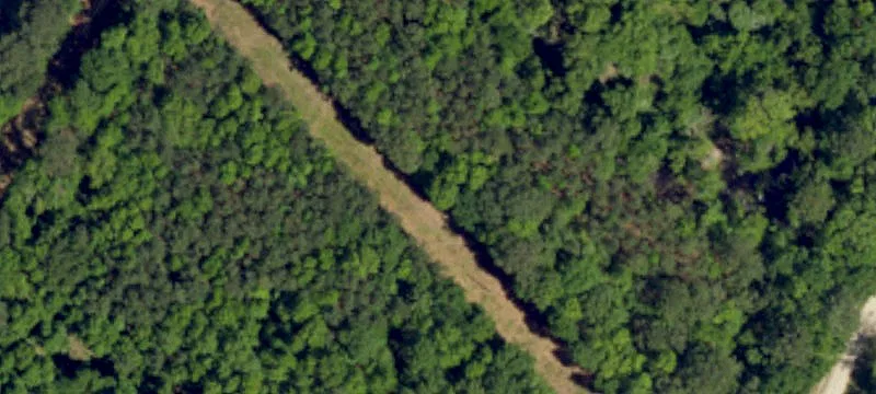 Savannah Hwy