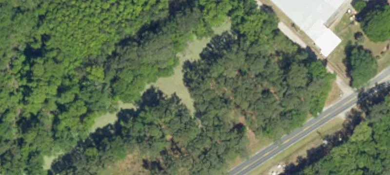 Palmetto Rd